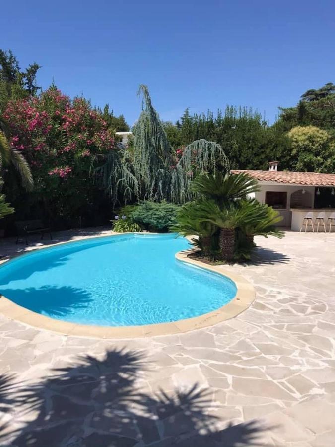 Piscine Proche Centre Villa Cannes